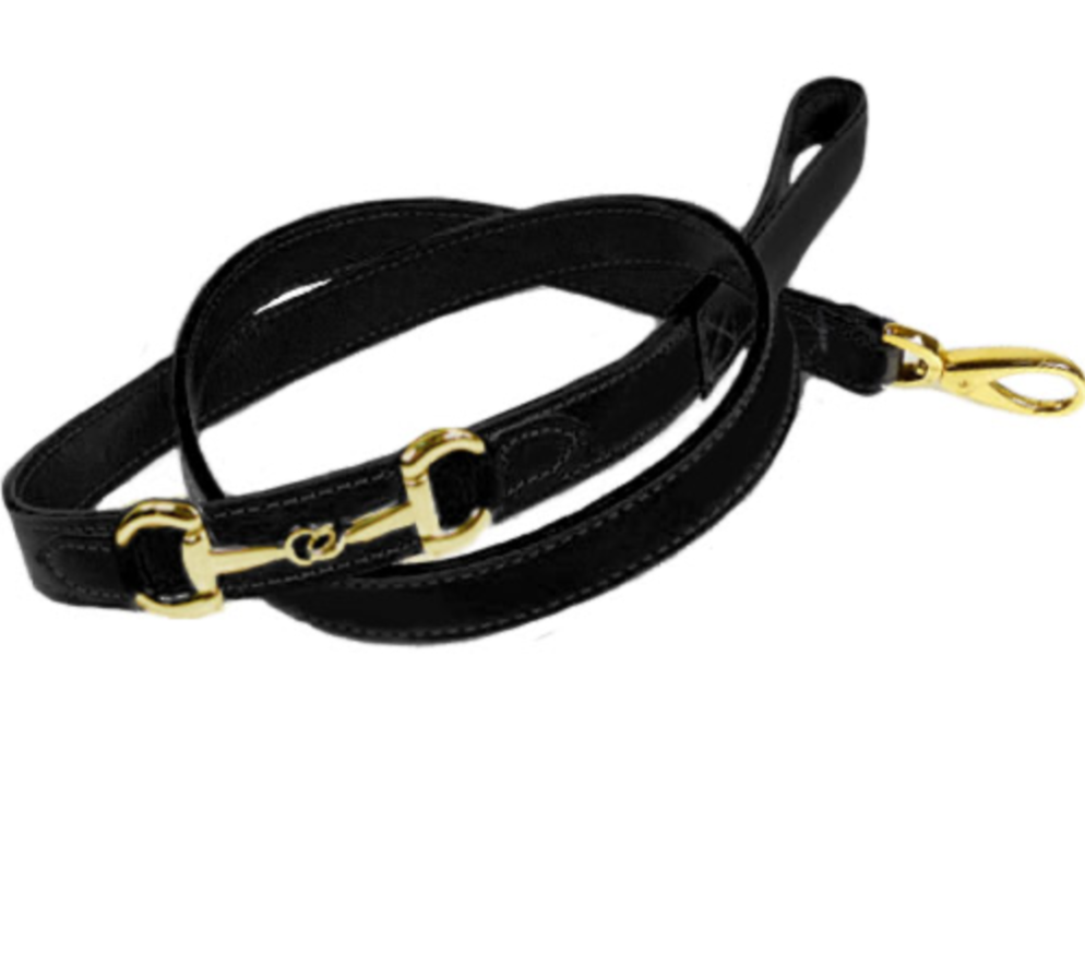 City Dog Leash