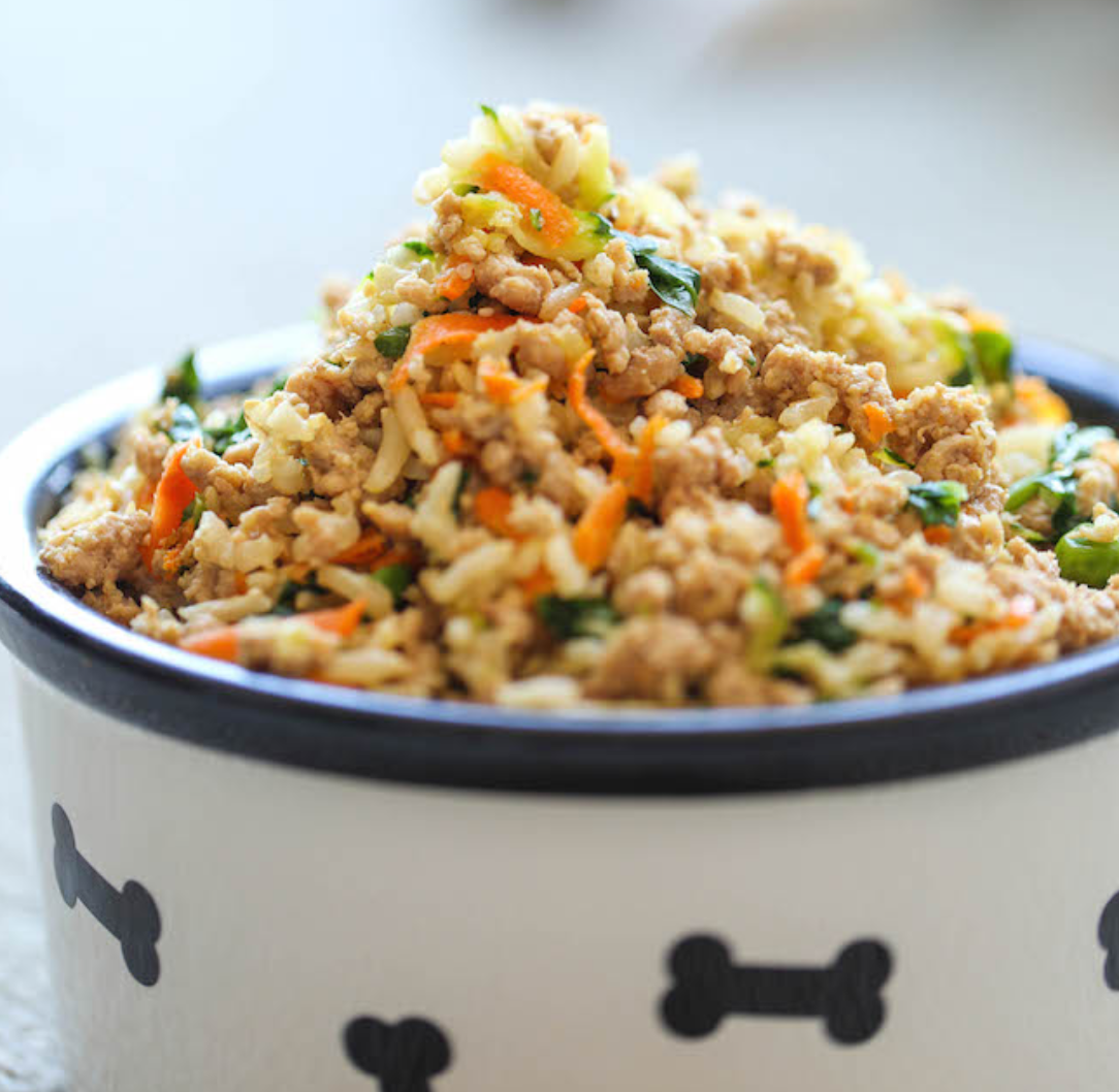 The Best Dog Food